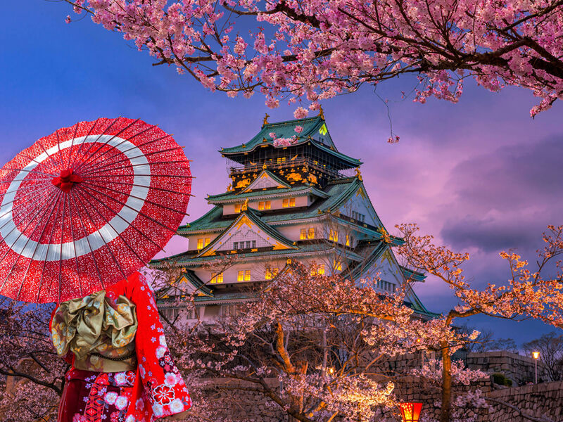 Comfort Japonya & Kore Turu Türk Hava Yolları ile 7 Gece Ekstra Turlar ve Çay Seremonisi Dahil Sakura Dönemi